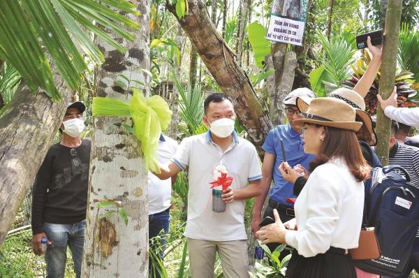 Hàng trăm nhà đầu tư bất an với dự án công nghệ trầm hương sinh học (Kỳ 1: Viễn cảnh trầm hương sinh học không như mong đợi)