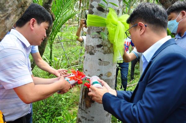 Hàng trăm nhà đầu tư bất an với dự án công nghệ trầm hương sinh học (Kỳ 1: Viễn cảnh trầm hương sinh học không như mong đợi)
