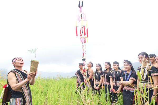 Sôi nổi nhiều hoạt động hưởng ứng Lễ hội sâm Ngọc Linh và Dược liệu quốc tế Đà Nẵng