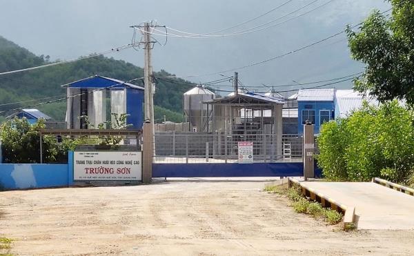 Xả thải vượt quy chuẩn, doanh nghiệp nuôi heo bị xử phạt 625 triệu đồng
