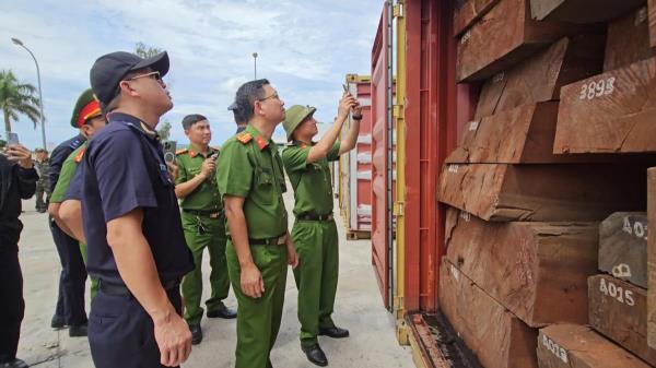 Lật tẩy thủ đoạn cất giấu gần 1,2 tấn ngà voi trong 3 container gỗ