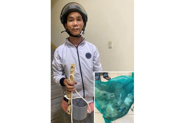 Miêu tặc lại tái phạm