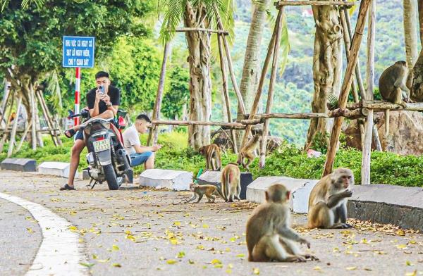 Bất an với Tề Thiên xuống phố