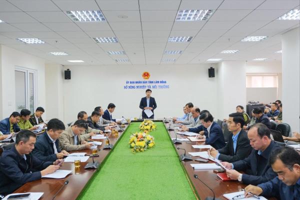 Lâm Đồng tăng cường giữ rừng, xử lý các điểm nóng