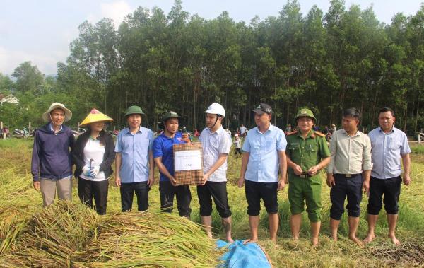 Xã Hà Nha huy động cả hệ thống chính trị giúp dân gặt lúa ngã rạp
