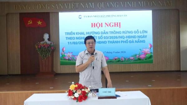 Hải Vân: Triển khai hướng dẫn người dân tham gia trồng rừng gỗ lớn theo Nghị quyết 03