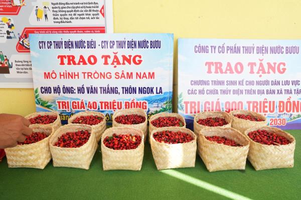 Trao tặng 15.000 hạt giống sâm Ngọc Linh cho 30 hộ dân