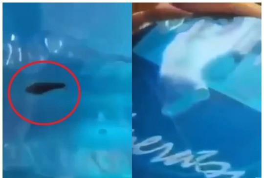 Tổng kiểm tra nhà máy sản xuất nước tinh khiết…có đỉa, phát hiện điều gì?