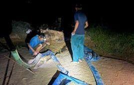 Bắt quả tang sa tặc trên sông Trà Bồng