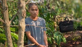 Vì yêu nên tội