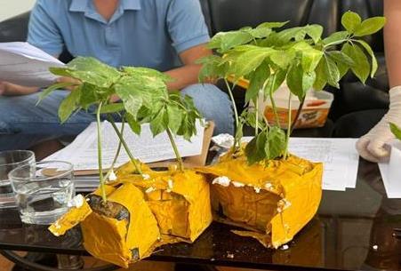 Lần theo dấu vết chủ vựa sâm Ngọc Linh giả trên mạng xã hội