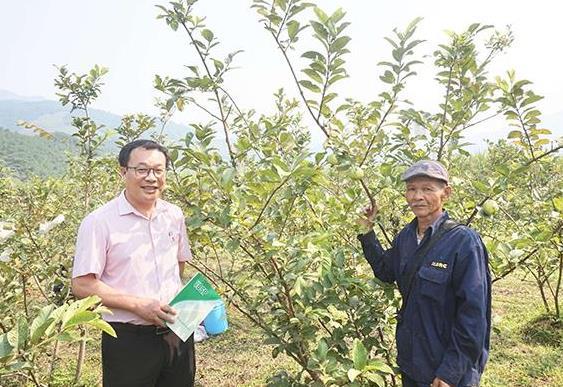 Đẩy mạnh tín dụng chính sách vì sinh kế bền vững