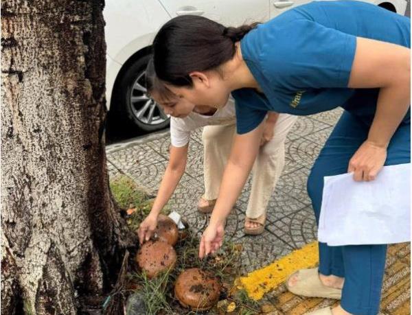 Phường An Hải tăng cường phòng, chống sốt xuất huyết