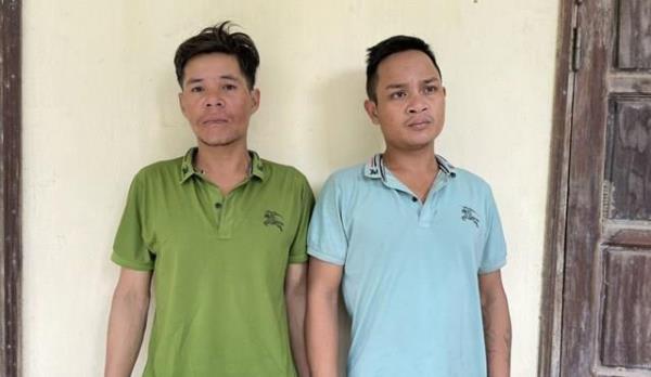 Quảng Nam: Bắt 2 đối tượng trộm hơn 120 gốc sâm Ngọc Linh