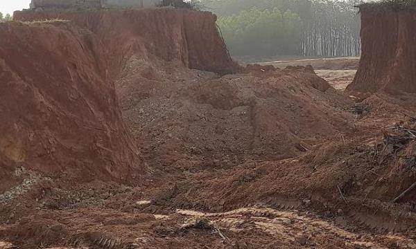 Ngã do tự hạ độ cao