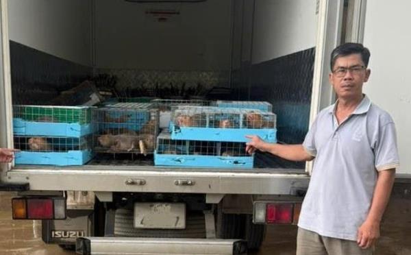 Buôn lậu động vật hoang dã