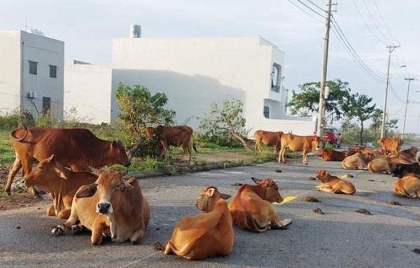 Trên nóng, dưới lạnh