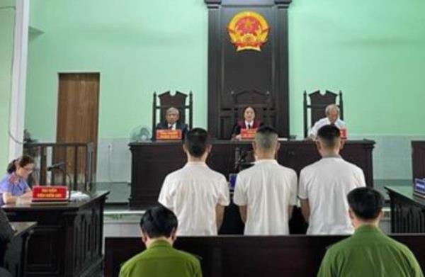 Xuân này con không về