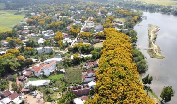 Nhiều hoạt động đặc sắc diễn ra trong năm 2023 tại Thành phố Tam Kỳ