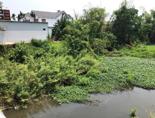 Sông chết ngày càng… chết