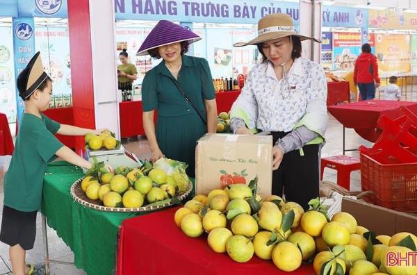 Hà Tĩnh: Giá cam cao nhất trong khoảng 10 năm gần đây