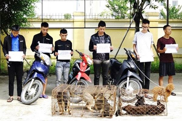 Hốt cả ổ cẩu tặc