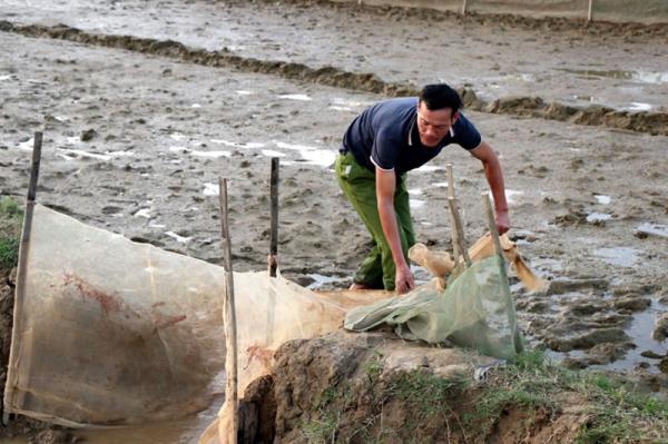 Nông dân vùng rươi đỏ mắt chờ ngày săn lộc trời