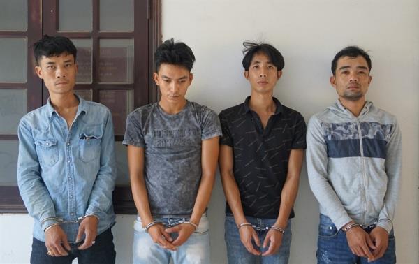 Những vạc đêm chuyên khuân mai cảnh