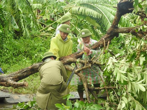 Công an phường Hoà Phát ra quân xử lý cây xanh ngã đổ