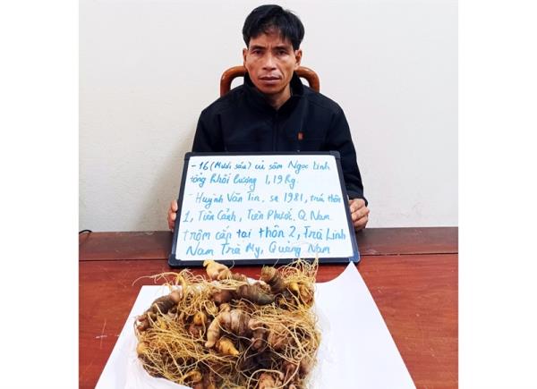 Bắt sâm thử 2 chân