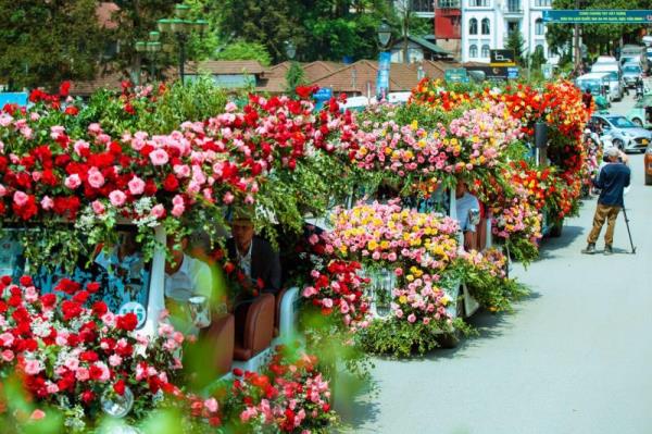 Lễ 30/4: Lên Sa Pa ngắm hàng triệu đoá hồng và khám phá văn hóa vùng cao