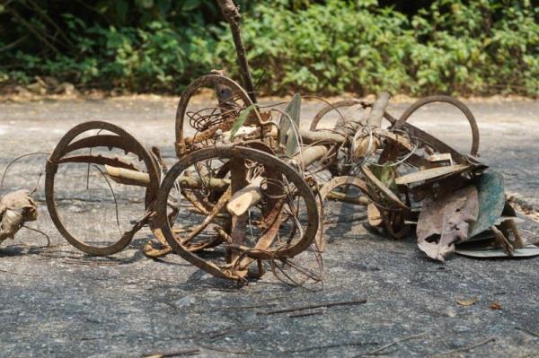 Báo động tình trạng xâm nhập trái phép, bẫy thú trong rừng đặc dụng Sơn Trà