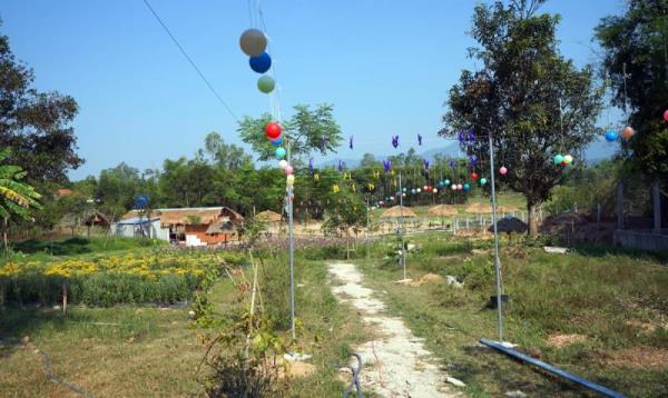 Cà-phê sinh thái... 2 sai