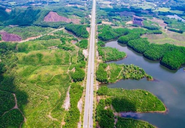 Đà Nẵng xin chuyển đổi hơn 7 ha rừng trồng
