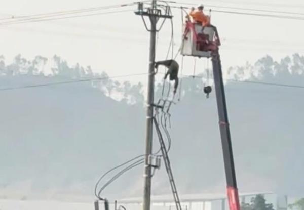 Thiếu niên chết trên cột điện