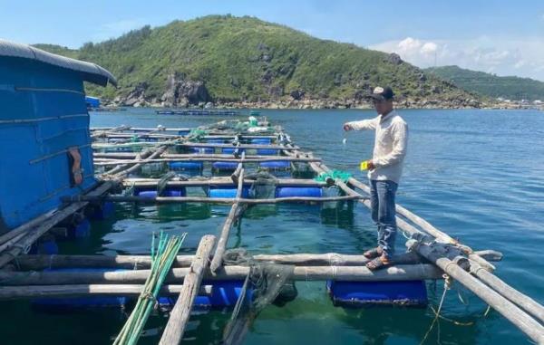 Người làm thuê trộm cắp số tôm hùm trị giá hơn 300 triệu đồng của chủ bè