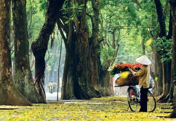 Lần đầu tiên tổ chức Festival Thu Hà Nội