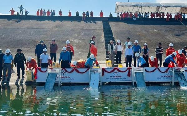 Thả 100.000 con cá giống tái tạo nguồn lợi thủy sản lòng hồ