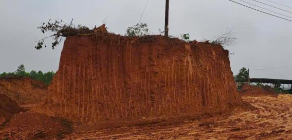 Khai thác đất trái phép, một giám đốc cùng chủ đất và 2 đối tượng liên quan bị khởi tố