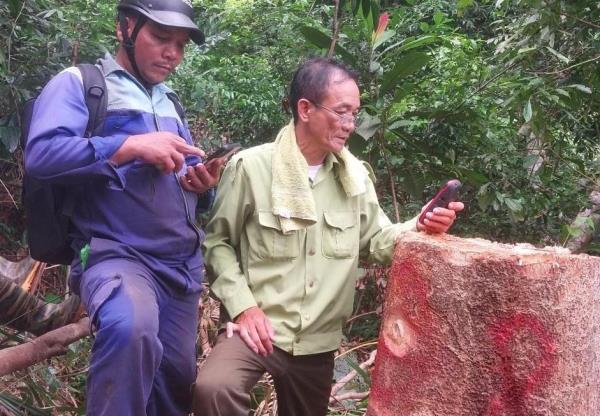 Phá rừng để thực hiện dự án thủy điện, nhiều tổ chức, cá nhân bị xử lý