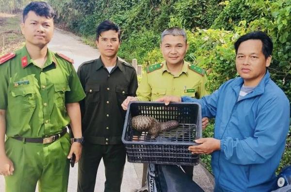 Thả tê tê quý hiếm về rừng