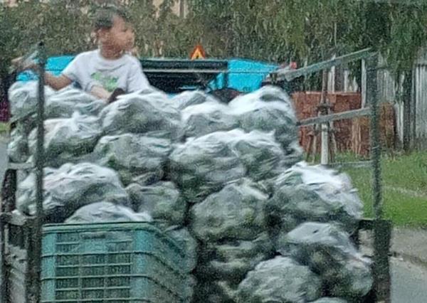 Quá nguy hiểm
