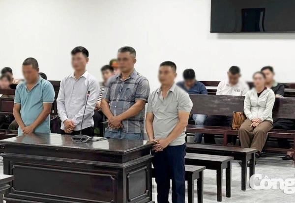 Xét xử 4 đối tượng trong đường dây buôn lậu hổ xuyên quốc gia