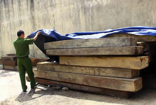 Phát hiện, thu giữ hàng trăm mét khối gỗ lậu