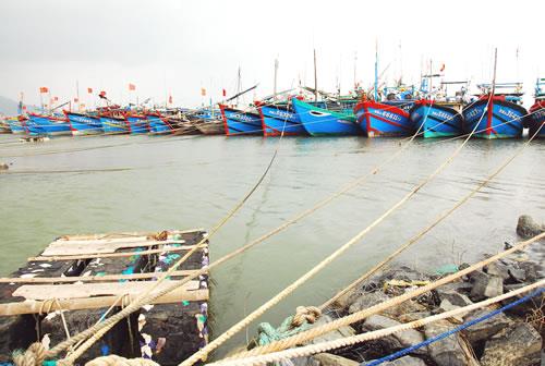 Bắc Trung bộ khẩn trương ứng phó bão số 10