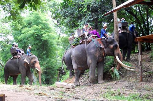Một tuần trên đất Thái (4)