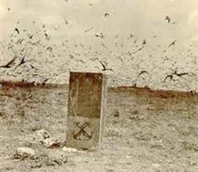 Hoàng Sa mãi mãi là lãnh thổ Việt Nam (11)