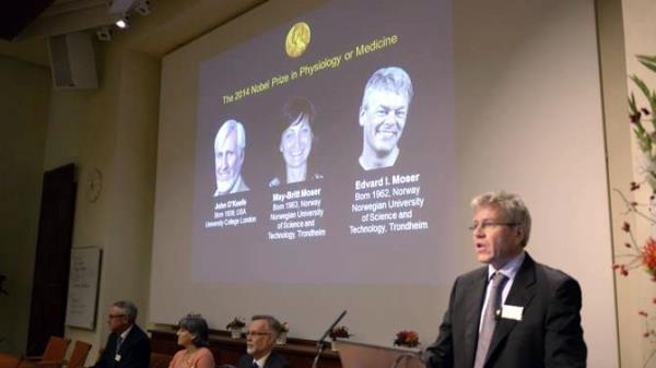 Rộn ràng mùa Nobel