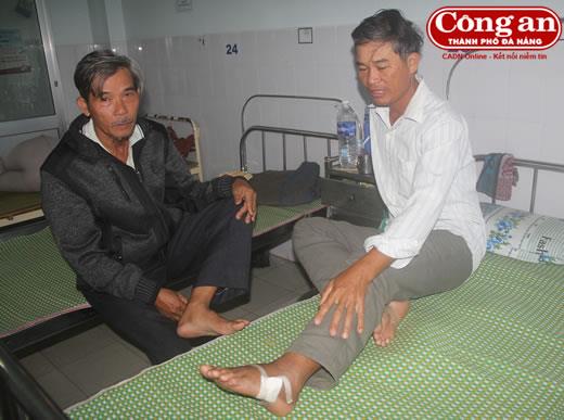 Rắn lục đuôi đỏ xuất hiện nhiều ở Quảng Nam