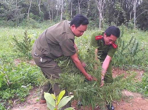 Địa bàn trắng người sử dụng ma túy
